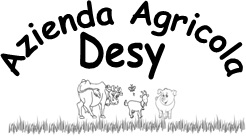 logo_desy