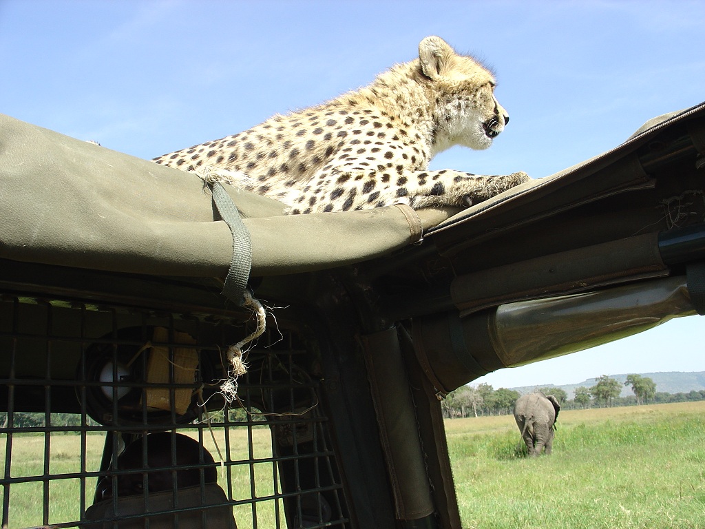 Joseph Ngala Masai Mara 1